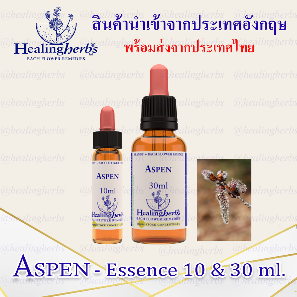 (Aspen) Bach Flower Essence (droppler) ขนาด 10 ml. หรือ 30 ml. ของแท้
