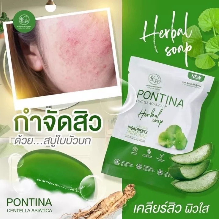 pontina-by-pontip-centella-asiatica-herbal-soap-สบู่พรทิน่า-พรทิน่า-สบู่ทำความสะอาด-ผิวหน้า-ใบบัวบก-ล้างหน้า-27g