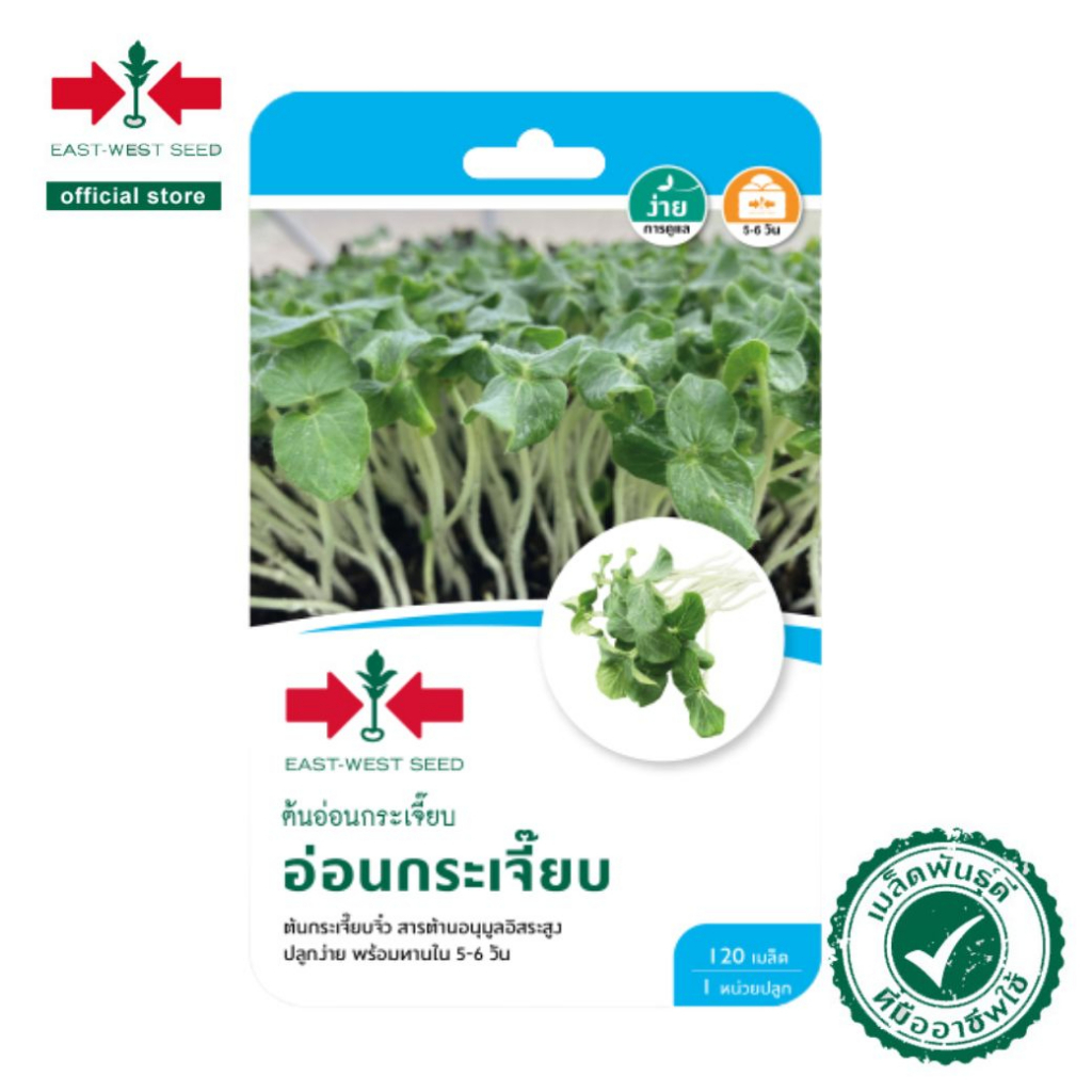 ศรแดง-เมล็ดพันธุ์ต้นอ่อนกระเจี๊ยบ-อ่อนกระเจี๊ยบ-east-west-seed-เมล็ดพันธุ์-ผักสวนครัว-ตราศรแดง