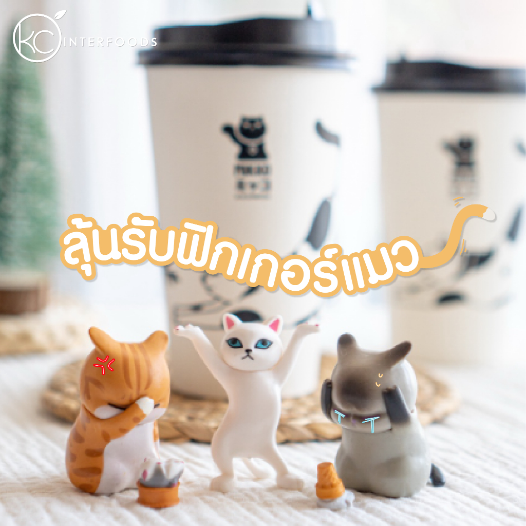 ภาพหน้าปกสินค้าเครื่องดื่มช็อกโกแลต กาชาปองฟิกเกอร์แมว 18 ออนซ์ (Cat Gashapon) จากร้าน kcinterfoods บน Shopee