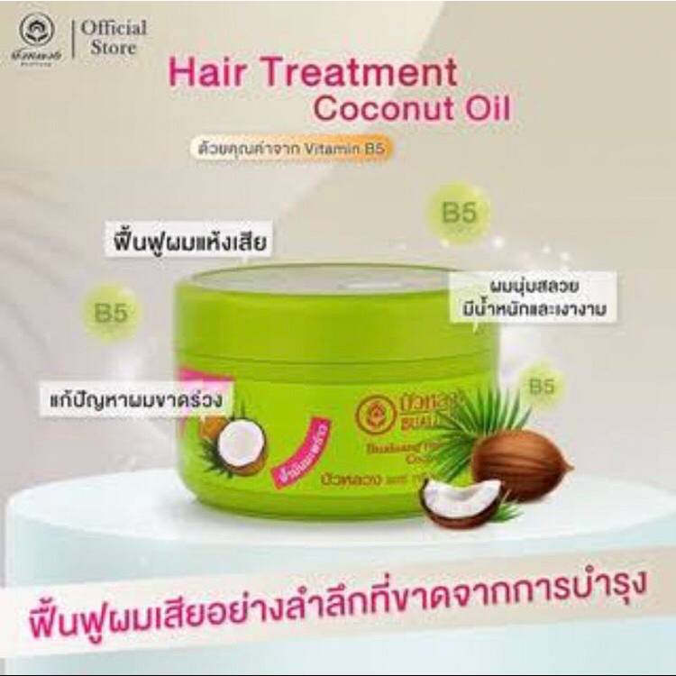 bualuang-hair-treatment-บัวหลวง-แฮร์-ทรีทเม้นท์-500ml