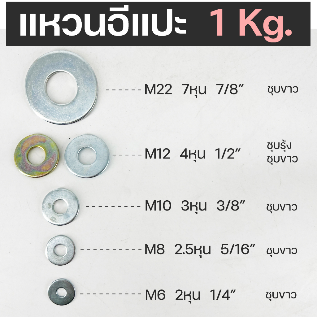 แหวนอีแปะ-แหวนรองน็อต-ชุบขาว-ชุบรุ้ง-m6-m8-m10-m12-m22-ขายเป็นกิโล