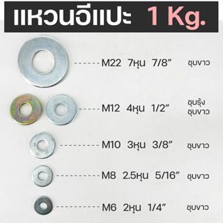 แหวนอีแปะ แหวนรองน็อต ชุบขาว/ชุบรุ้ง M6 M8 M10 M12 M22 (ขายเป็นกิโล)