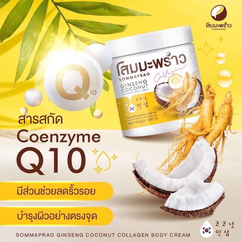 ครีมโสมมะพร้าว-คอลาเจน-บอดี้ครีม-ปุก500กรัม