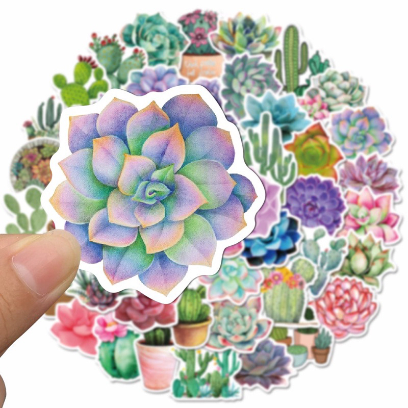 สติ๊กเกอร์-cactus-449-แคคตัส-50ชิ้น-กระบองเพชร-รูปภาพ-รูป-ต้นไม้-แต่งบ้าน-แต่งสวน-แคตัส-แคค-ตัส-ตก-แต่ง-สวน-บ้าน-ไม้