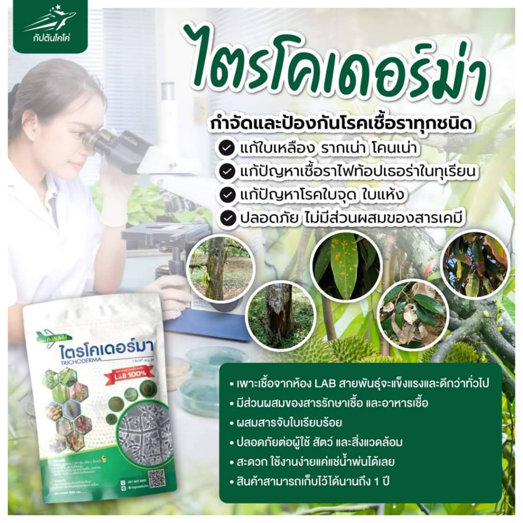ป้องกันเชื้อรา-1-ซอง-500-กรัม-ไตรโคเดอร์มา-กับตันไตรโคร-รักษาโรคพืช-กำจัดเชื้อรา-ปลอดภัย