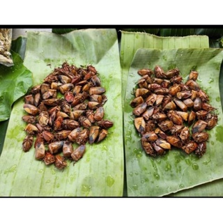 ช้อป แมลงแคง ราคาสุดคุ้ม ได้ง่าย ๆ | Shopee Thailand