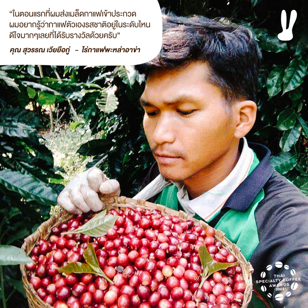 thai-huaychompu-bourbon-100g-เมล็ดกาแฟประกวดรางวัลอันดับ-4-รายการ-thai-specialty-coffee-awards-2022