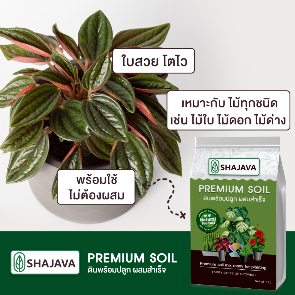 shajava-premium-soil-ดินพร้อมปลูก-1-kg-ดินพร้อมปลูกผสมสำเร็จ-ดินพรีเมี่ยม-ดินปลูกต้นไม้-ดิน-soil