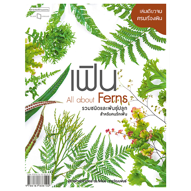 c111-เฟิน-all-about-ferns-รวมชนิดและพันธุ์ปลูกสำหรับคนรักเฟิน-9786161838102