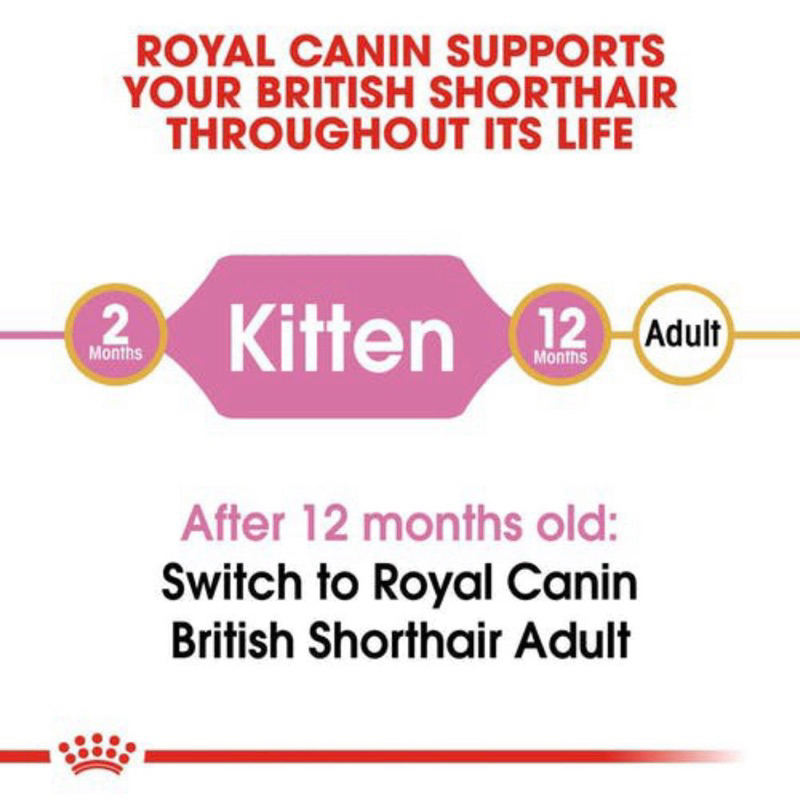 แบ่งขาย-royal-canin-kitten-british-shorthair-500g-800g