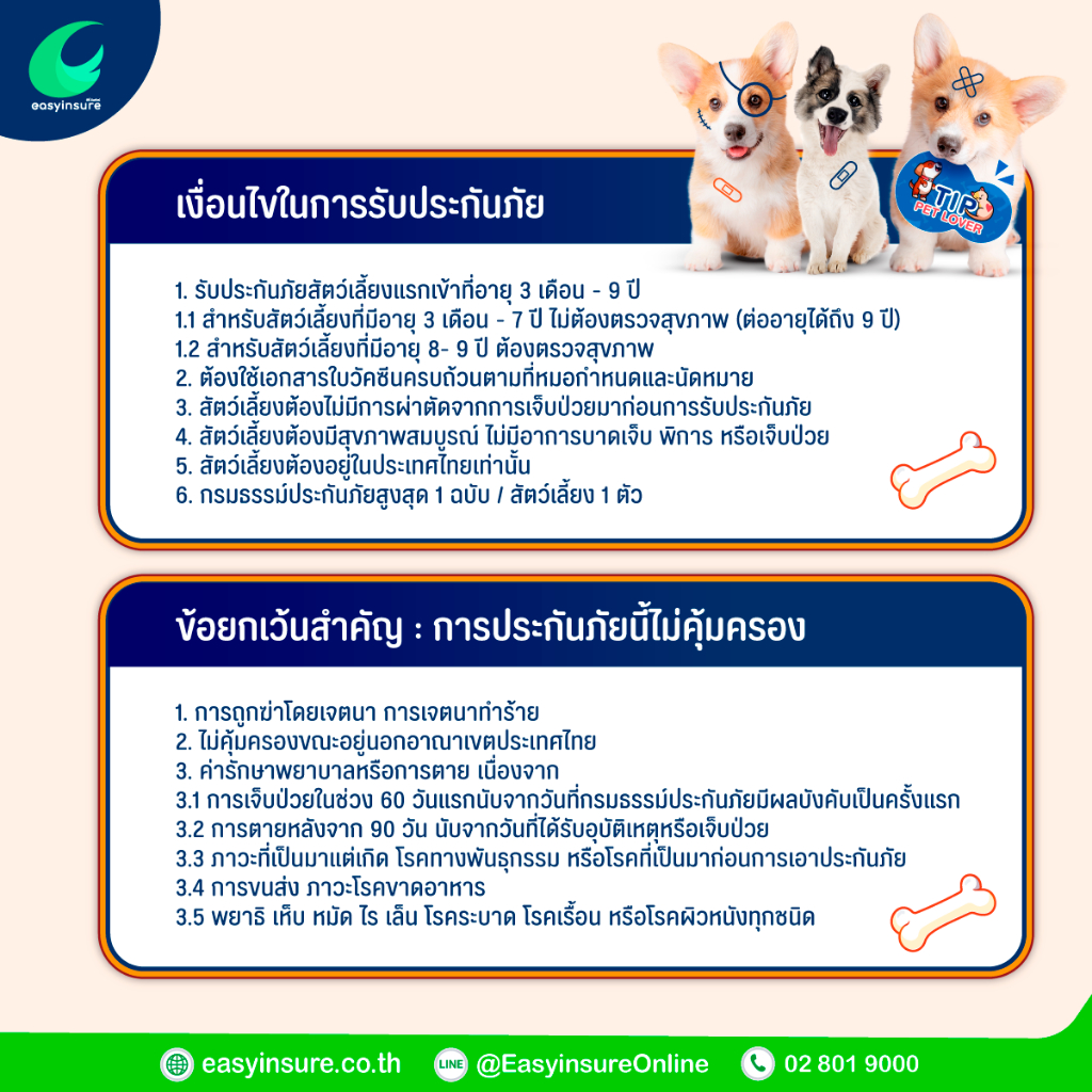 ประกันสัตว์เลี้ยง-อายุเริ่มต้น-3-เดือน-สูงสุด-9-ปี