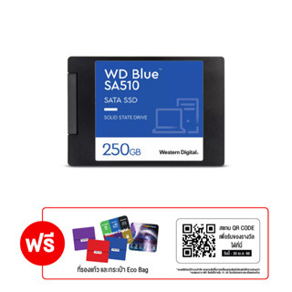 ภาพหน้าปกสินค้าWestern Digital BLUE SA510 250GB SSD SATA3 2.5\" (WDS250G3B0A) (5Y) MS6-000108 Internal Solid State Drive ที่เกี่ยวข้อง