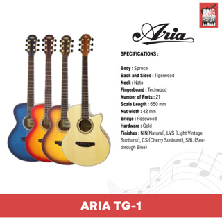 ARIA TG-1  กีตาร์โปร่ง ทรง OM ดีไซต์สวยงามมีหลายสีให้เลือก