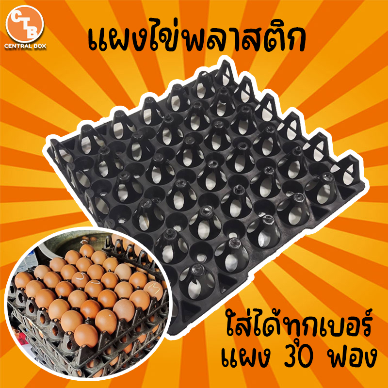 แผงไข่พลาสติก-ถาดไข่-แผงไข่ไก่-แผงไข่ใส่ได้ทุกเบอร์-แผงละ-30-ฟอง