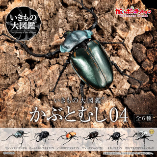 ภาพหน้าปกสินค้า(ครบชุดพร้อมส่ง) กาชาปองด้วง Gashapon Bandai Kuwagata Hercules Beetle Action Vol.04 โมเดลสัตว์ ที่เกี่ยวข้อง