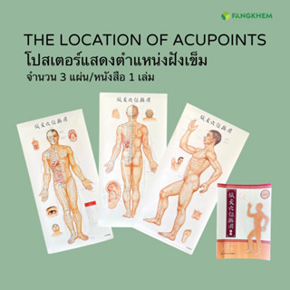 ชุดโปสเตอร์แสดงตำแหน่งฝังเข็ม จำนวน 3 แผ่น/หนังสือ 1 เล่ม The location of acupoints By Fangkhem