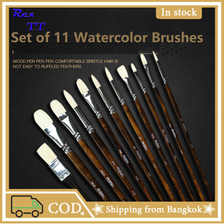 Rex TT High-end professional Giorgione Watercolor Pen 11 long iron box gouache nylon brush set