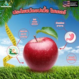 ภาพขนาดย่อของภาพหน้าปกสินค้าลดน้ำหนักอเมริกา Natures Truth (กระปุกแดง)Apple Cider Vinegar มี2แบบ ให้เลือก น้ำส้มสายชูหมักจากแอปเปิ้ล จากร้าน vitaminworlds บน Shopee ภาพที่ 3