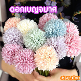 ดอกเบญจมาศ ดอกไม้ตกแต่งบ้าน ตกแต่งห้องมินิมอล ตกแต่งห้องเกาหลี ดอกไม้ตกแต่ง ดอกไม้ปัจฉิม ดอกเบญจมาศ ดอกกลม ดอกปอมปอม