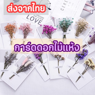 สินค้า [ส่งด่วน1-2วัน] การ์ดดอกไม้แห้ง การ์ดอวยพรวันเกิด การ์ดปัจฉิม การ์ดอวยพรดอกไม้แห้ง ดอกไม้ตกแต่ง ของขวัญปัจฉิม