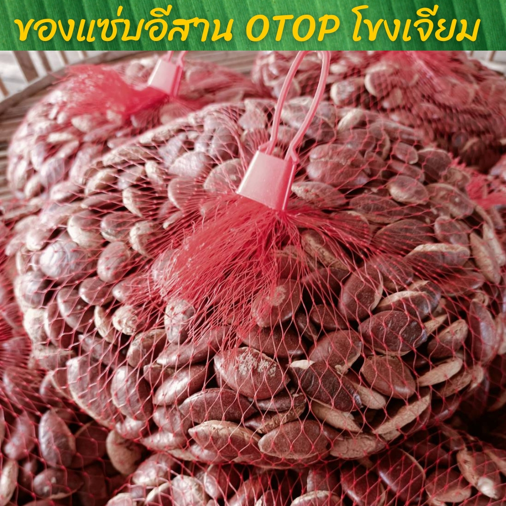 ถูกที่สุด-โลละ140-กระบกเม็ดสดตากแห้ง-เกรดพรีเมียม-otop-โขงเจียม-อุบลราชธานี