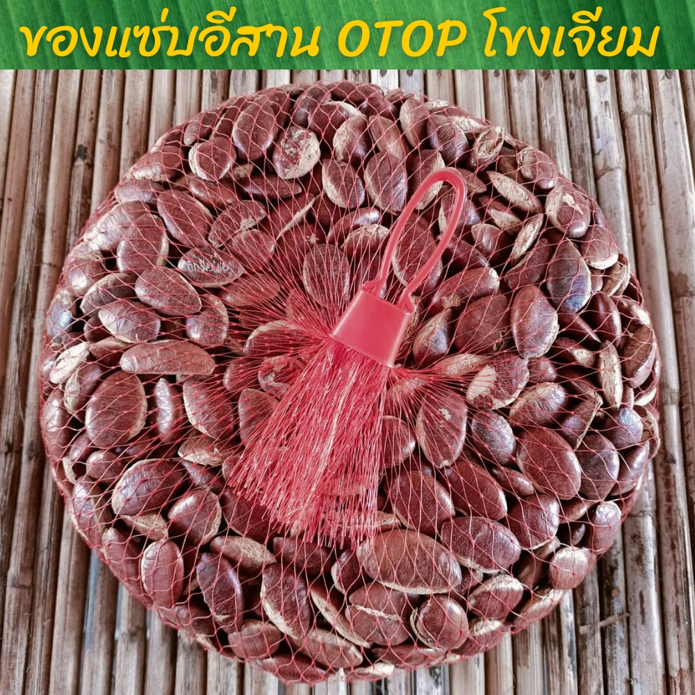 ถูกที่สุด-โลละ140-กระบกเม็ดสดตากแห้ง-เกรดพรีเมียม-otop-โขงเจียม-อุบลราชธานี