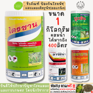 1กิโลผสมได้น้ำ400ลิตร ไตรโคเดอร์มา,บาซิลลัส(BS)=กำจัดโรคพืช บิวเวอร์เรีย,เมตาไรเซียม=กำจัดแมลงปากดูด ปากกัด ออร์แกนิค