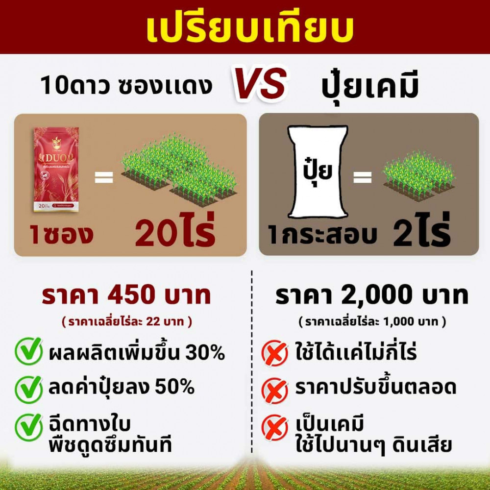 10ดาวduo-สูตรใหม่-3-ซอง-บำรุงใบ-เพิ่มผลผลิต-10ดาวไบโอ-ปลอดภัย-100