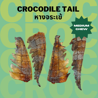 หางจระเข้อบแห้ง ขนมแทะหมา แก้เบื่อ ขัดฟัน เจ้าแรกในไทย Bellas Bites Crocodile Tail Chew for Dogs (1 ชิ้น/4 ชิ้น)