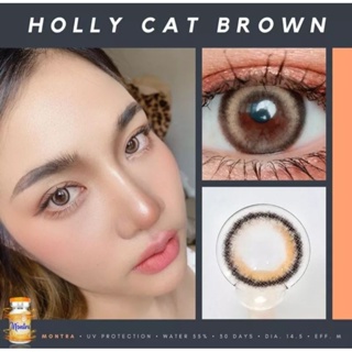 Holly cat Gray/Brown เลนส์มินิ ขอบฟุ้ง (Montra lens)