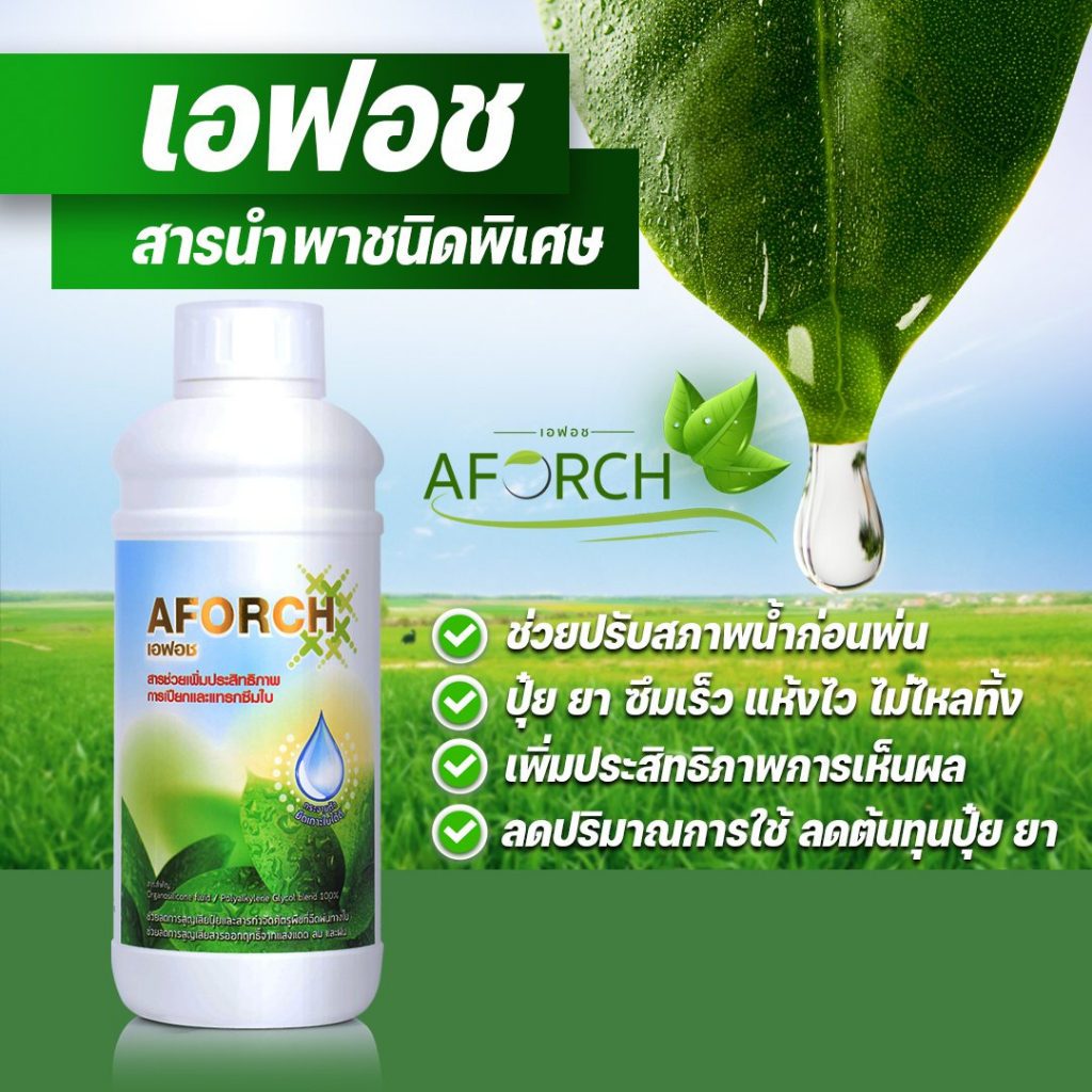 เอฟอช-aforch-สารจับใบ-ปุ๋ยน้ำเอฟอช-1-ลิตร-1-ขวด-ชนิดเร่งดูดซึมไว-ของแท้-100