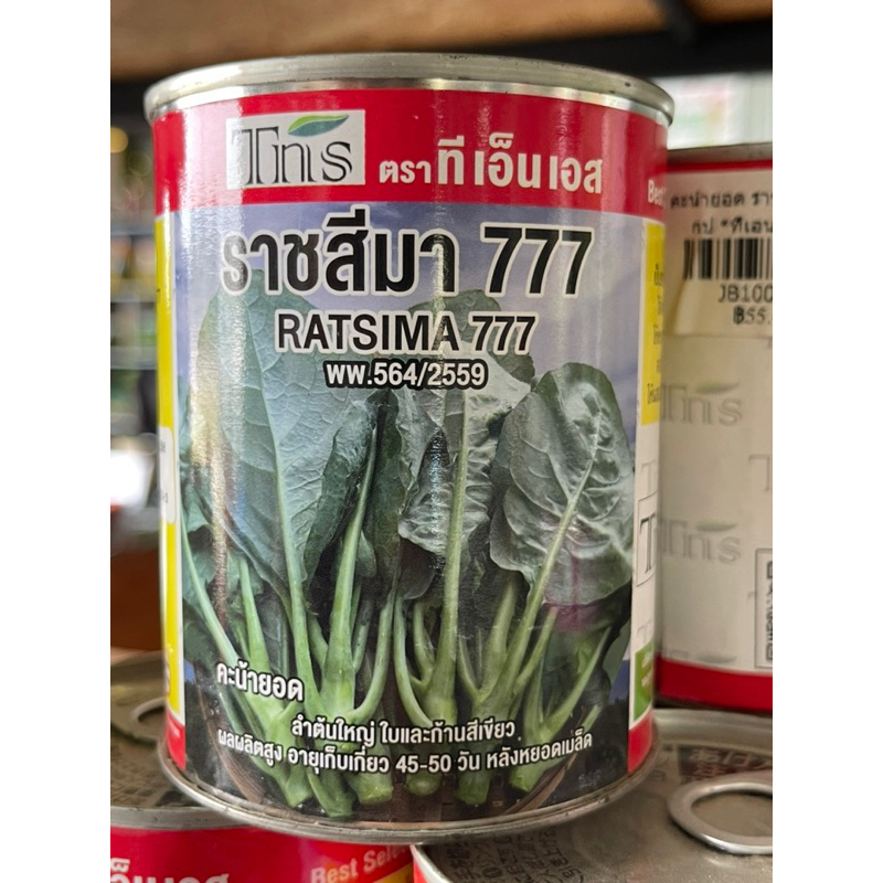 คะน้ายอด-ราชสีมา-777-tns