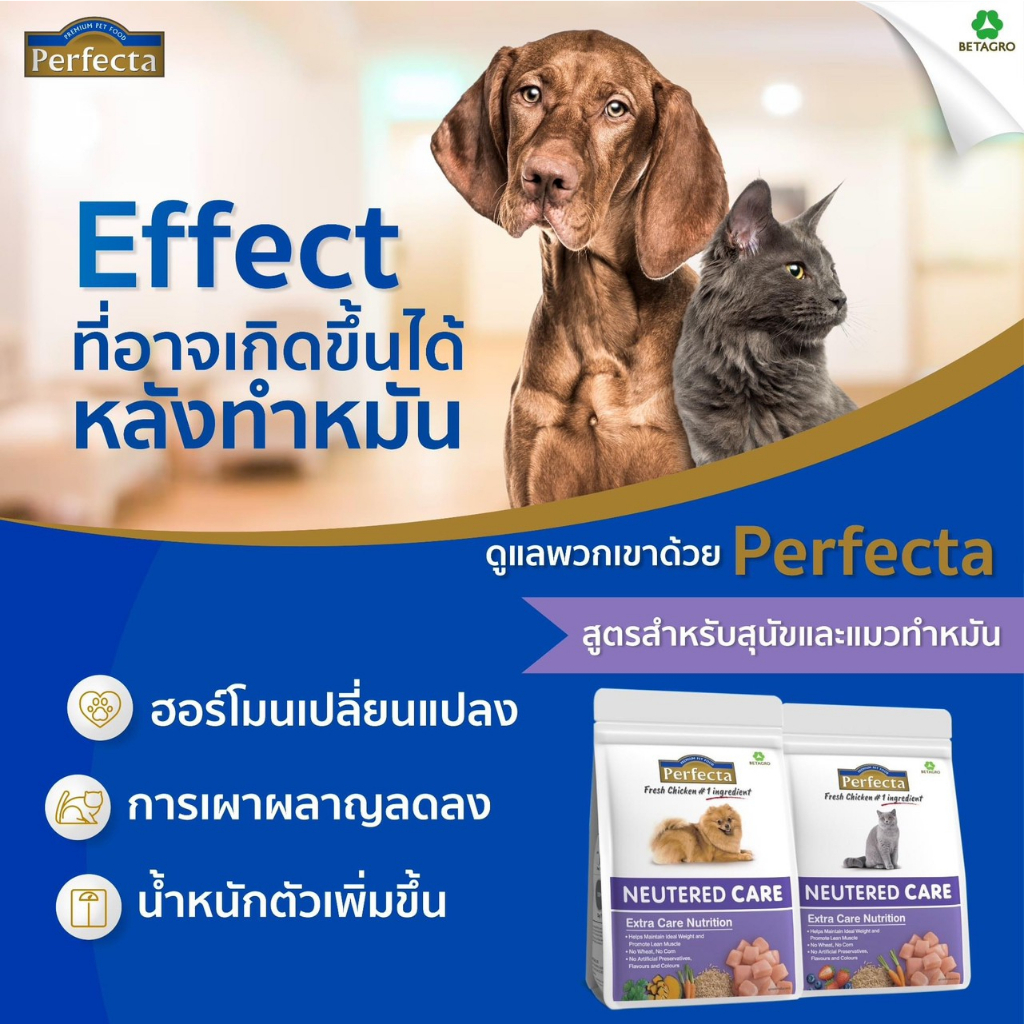 ราคาถูกสุดexp-25042024อาหารสุนัข-เพอร์เฟคต้า-ควบคุมน้ำหนักสุนัข-ป้องกันโรคนิ่ว-บำรุงขนและผิว-สำหรับสุนัขทำหมันbnnpetshop