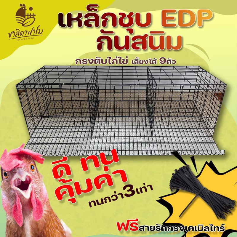 กรงตับไก่ไข่ เฉพาะกรง เหล็กชุบ EDP สีดำกันสนิม ใส่ไก่ได้9ตัว กรงไก่ กรง ...