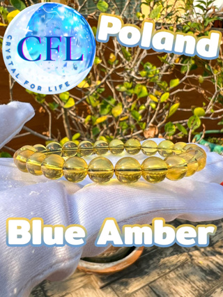 Blue Amber กำไลอำพันแท้ สีเหลือง ฟ้า ขนาดเม็ด (7.5-8 มม.) สร้อยข้อมืออำพันแท้ นำโชค เอ็นยืด อำพันธรรมชาติ นำเข้าPoland
