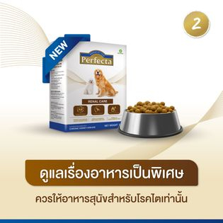 แถม100กรัม-perfecta-500g-อาหารสุนัขโรคไต-bnn-petshop