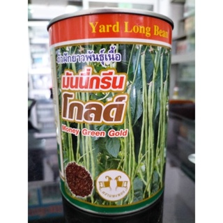 มันนี่กรีนโกลด์ 500 กรัม ฝักดก ไม่เหลืองง่าย ทนต่อโรค