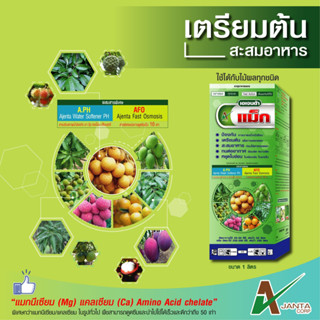 แม็กนีเซียม เอเจนต้า เร่งการเพสลาด ช่วยให้ใบแก่  ใบใหญ่  ใบเขียวเข้ม  (ขนาด 250 ซีซี.)