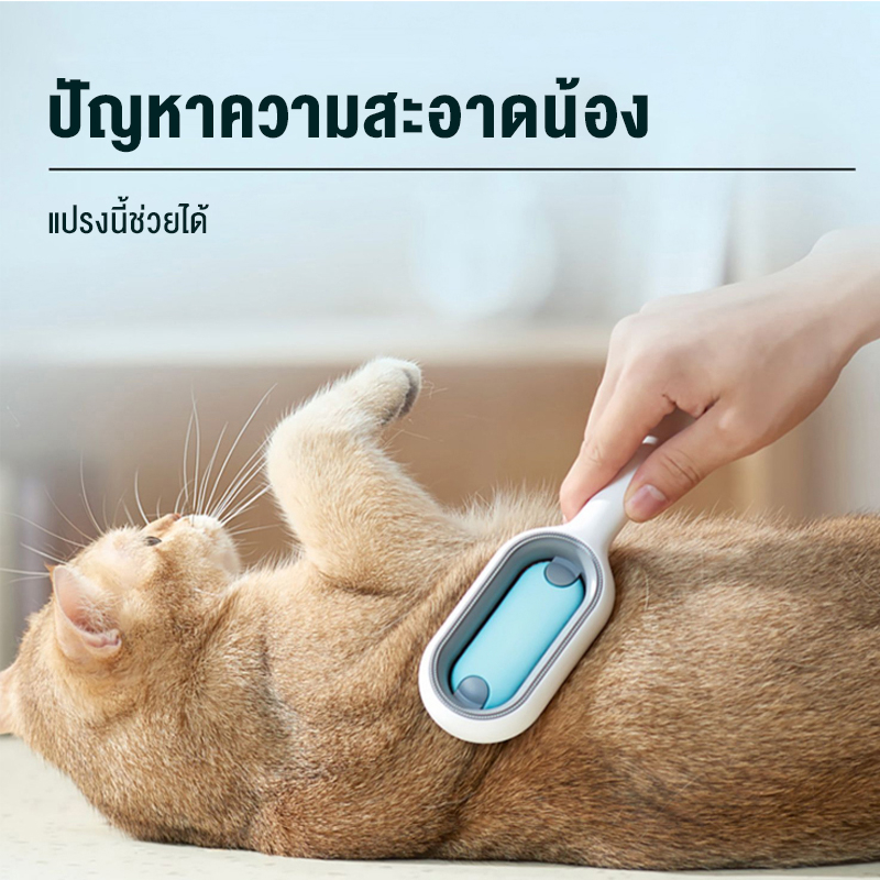 หวีแปรงขนสัตว์เลี้ยง-รุ่นสีแดงขาว-pet-massage-comb-แปรงขนแมว-แปรงขนหมา-สินค้าดี-ราคาถูก-พร้อมส่งในประเทศไทย-แปรงขนส