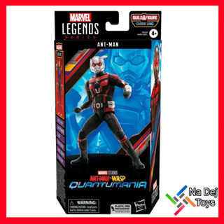 Marvel Legends Ant-Man Quantumania 6" Figure มาเวล เลเจนด์ส แอนท์แมน ตะลุยมิติควอนตัม ขนาด 6 นิ้ว ฟิกเกอร์