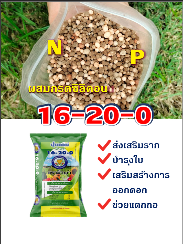 ปุ๋ย16-20-0-ตราม้าเงา-แบ่งขาย1กิโล-เกรดพรีเมียม-พผสมกรดซิลิคอน