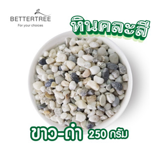 หินสีขาวคละสีขาว-สีดำ 250 กรัม เม็ดเล็ก หินสี  หินกระบองเพชร หินใส่กระถางเล็กๆ หินแม่น้ำ หินใส่แจกัน หินตกแต่งสวนถาด หิน