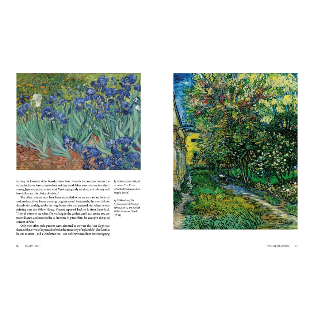 starry-night-van-gogh-at-the-asylum-martin-bailey-vincent-van-gogh-paperback