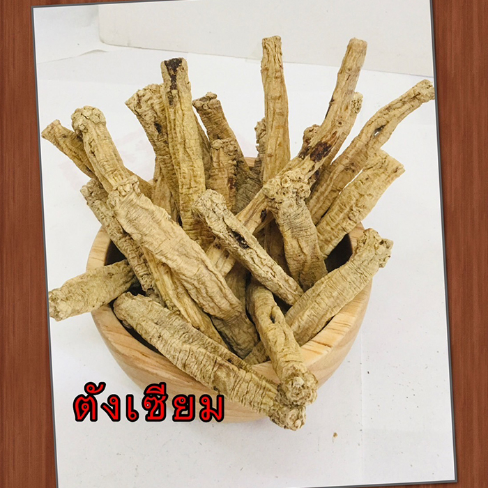 ตังเซียม-codonopsis-root