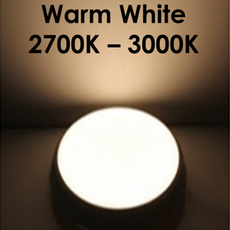 Philips LED Meson ดาวน์ไลท์ 24W 200 59474 ขนาด 8 นิ้ว (8