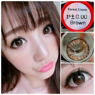 คอนแทคเลนส์ บิ๊กอาย รุ่น Forest 3 tone สีตาล/Brown มีค่าสายตาปกติ(0.00)