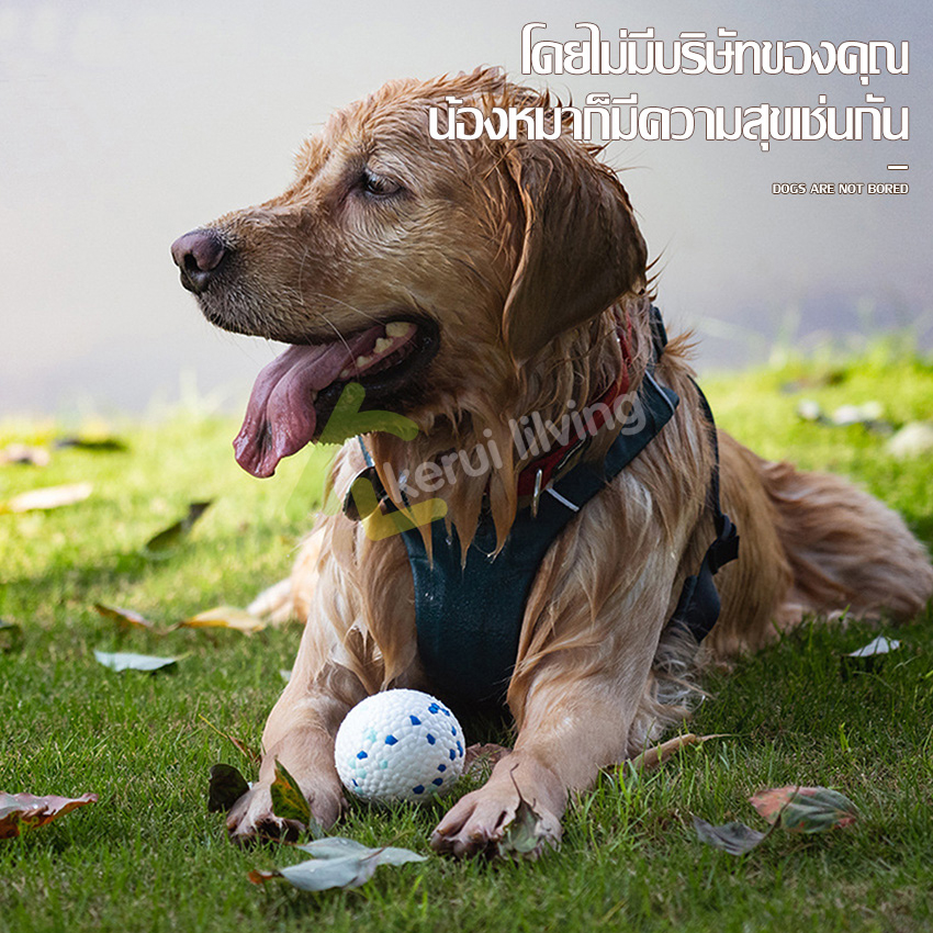 cobbe-ของเล่นสุนัข-dog-toy-บอลสัตว์เลี้ยง-ลูกบอลยางสุนัข-ยางกัด-บอลกัด-ลูกบอลยาง-สำหรับสัตว์เลี้ยง-ลูกบอลกระเด้ง-ลอยน้ำ