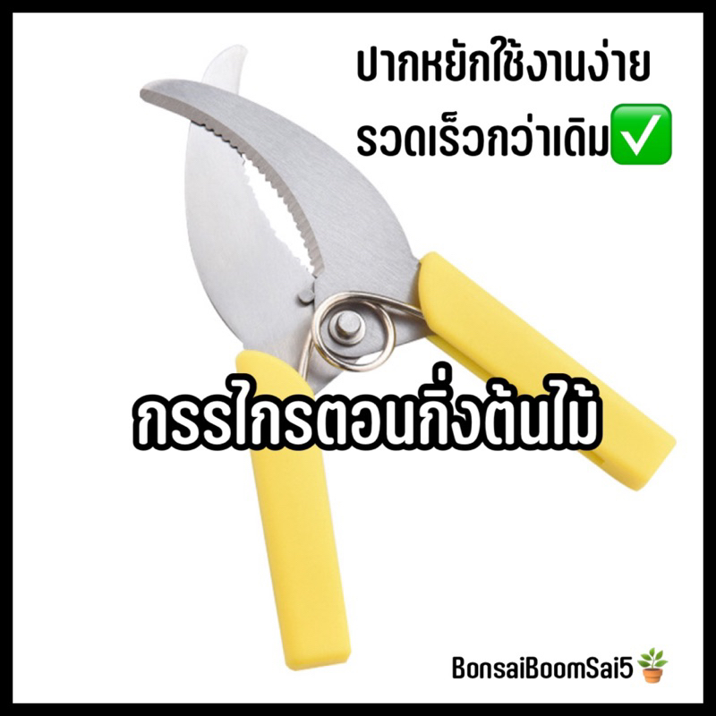 กรรไกรตอนกิ่งไม้-ที่ตอนกิ่งไม้-อุปกรณ์ตอนกิ่ง