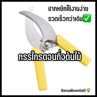 กรรไกรตอนกิ่งไม้ ที่ตอนกิ่งไม้ อุปกรณ์ตอนกิ่ง